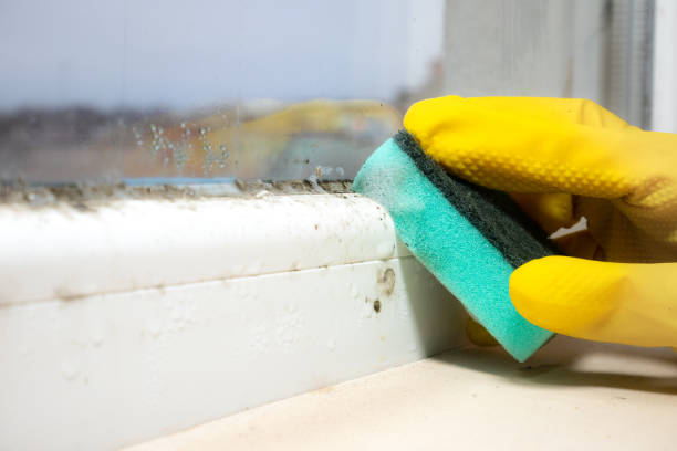Best Water Damage Restoration  in Funny River, AK